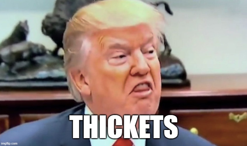 trump thicc | THICKETS | image tagged in trump thicc | made w/ Imgflip meme maker