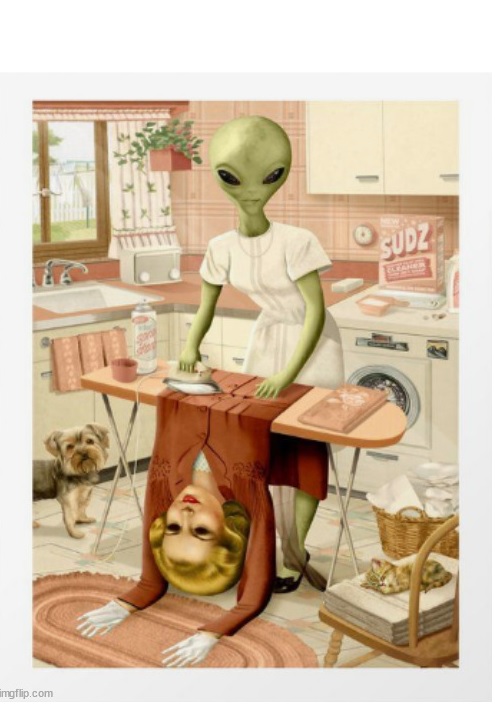 High Quality Roswell Wives Blank Meme Template