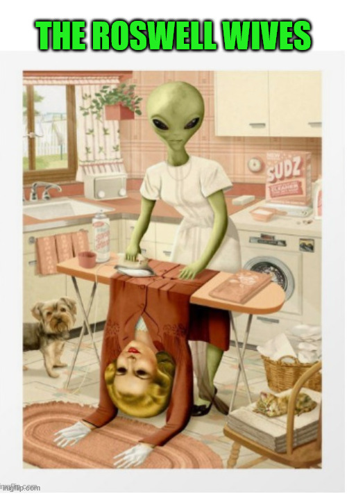 The Roswell Wives |  THE ROSWELL WIVES | image tagged in roswell wives,roswell,alien,mom,grey,wife | made w/ Imgflip meme maker