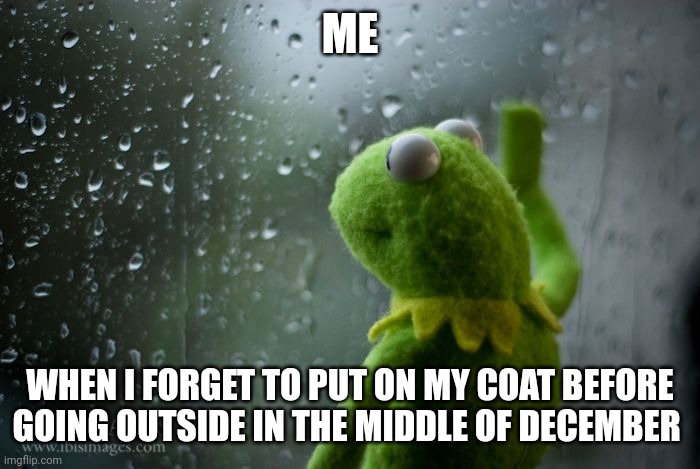 It's too freaking cold!!!!! | ME; WHEN I FORGET TO PUT ON MY COAT BEFORE GOING OUTSIDE IN THE MIDDLE OF DECEMBER | image tagged in kermit window | made w/ Imgflip meme maker