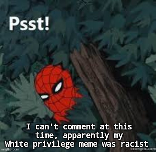 Some bullshit. It got deleted and I got a 2 day. | I can't comment at this time, apparently my White privilege meme was racist | image tagged in spiderman psst | made w/ Imgflip meme maker