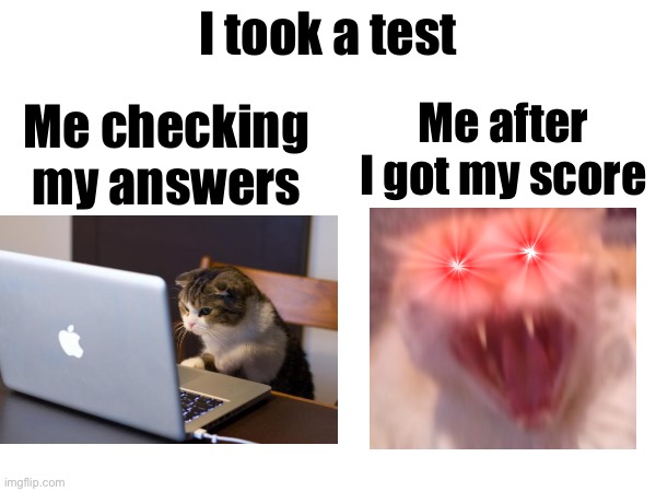 every year | I took a test; Me checking my answers; Me after I got my score | image tagged in mad cat,test | made w/ Imgflip meme maker