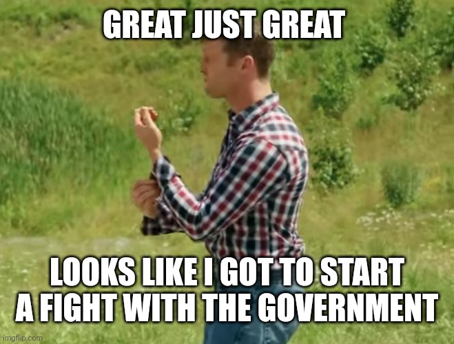 wayne's Sleeves | GREAT JUST GREAT LOOKS LIKE I GOT TO START A FIGHT WITH THE GOVERNMENT | image tagged in wayne's sleeves | made w/ Imgflip meme maker