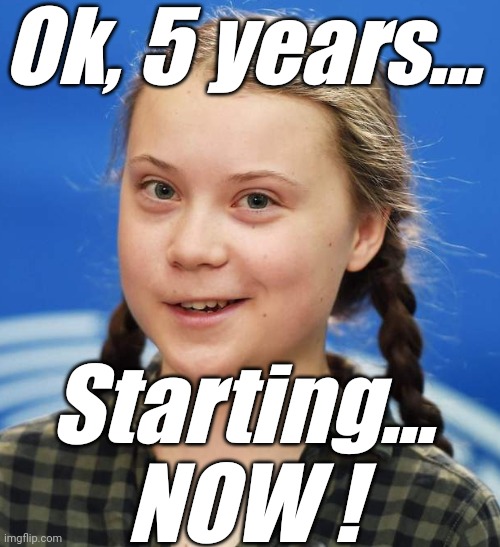 Greta Thunberg | Ok, 5 years... Starting... NOW ! | image tagged in greta thunberg | made w/ Imgflip meme maker