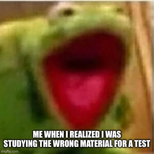 AHHHHHHHHHHHHH | ME WHEN I REALIZED I WAS STUDYING THE WRONG MATERIAL FOR A TEST | image tagged in ahhhhhhhhhhhhh | made w/ Imgflip meme maker