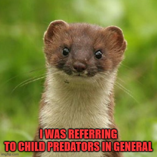 No Weason Weasel | I WAS REFERRING TO CHILD PREDATORS IN GENERAL | image tagged in no weason weasel | made w/ Imgflip meme maker