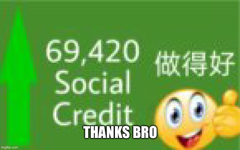 +69420 social credit | THANKS BRO | image tagged in 69420 social credit | made w/ Imgflip meme maker