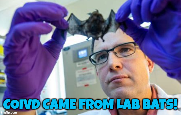 Where Covid came from! | COIVD CAME FROM LAB BATS! | image tagged in covid-19,lab,bats,pandemic,wet market,hoax | made w/ Imgflip meme maker