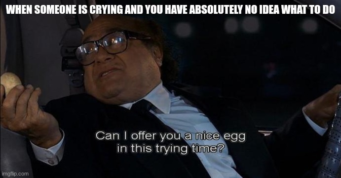 Hmmmmmmm | WHEN SOMEONE IS CRYING AND YOU HAVE ABSOLUTELY NO IDEA WHAT TO DO | image tagged in can i offer you a nice egg in this trying time,emotions,wakawaka | made w/ Imgflip meme maker