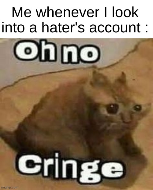 Why does it always have to be the haters when we are talking abt cringe accounts ? | Me whenever I look into a hater's account : | image tagged in oh no cringe,cats | made w/ Imgflip meme maker
