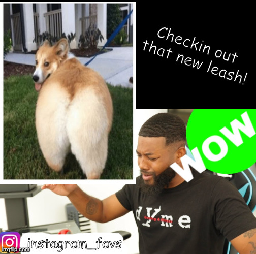 oh yeah! | Checkin out 
that new leash! instagram_favs | image tagged in memes,botox,dark humoe | made w/ Imgflip meme maker