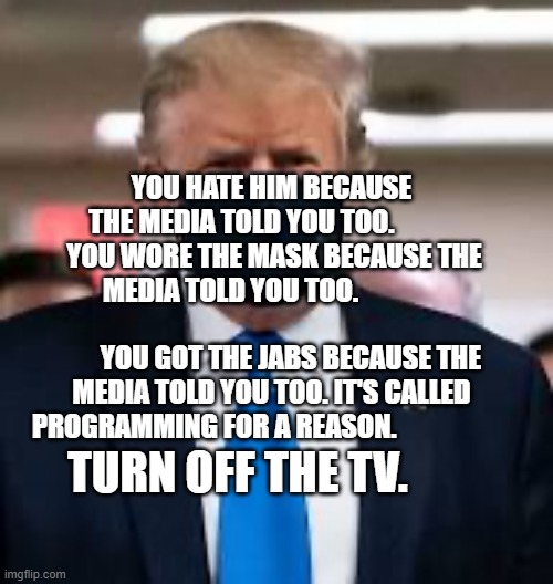 Trump Mask | YOU HATE HIM BECAUSE THE MEDIA TOLD YOU TOO.             YOU WORE THE MASK BECAUSE THE MEDIA TOLD YOU TOO.                                         
       YOU GOT THE JABS BECAUSE THE MEDIA TOLD YOU TOO. IT'S CALLED PROGRAMMING FOR A REASON. TURN OFF THE TV. | image tagged in trump mask | made w/ Imgflip meme maker
