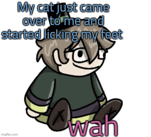 cracker | My cat just came over to me and started licking my feet; wah | image tagged in cracker | made w/ Imgflip meme maker