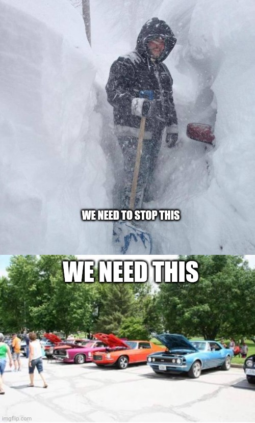WE NEED TO STOP THIS; WE NEED THIS | image tagged in snow,car show | made w/ Imgflip meme maker