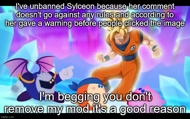 goku real???????? | I've unbanned Sylceon because her comment doesn't go against any rules and according to her gave a warning before people clicked the image; I'm begging you don't remove my mod it's a good reason | image tagged in goku real | made w/ Imgflip meme maker