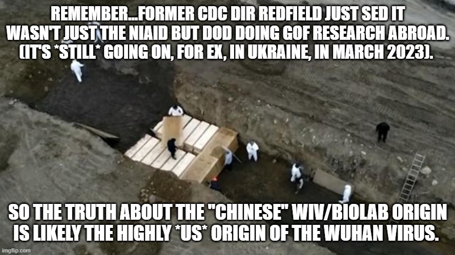 mass graves | REMEMBER...FORMER CDC DIR REDFIELD JUST SED IT WASN'T JUST THE NIAID BUT DOD DOING GOF RESEARCH ABROAD. (IT'S *STILL* GOING ON, FOR EX, IN UKRAINE, IN MARCH 2023). SO THE TRUTH ABOUT THE "CHINESE" WIV/BIOLAB ORIGIN IS LIKELY THE HIGHLY *US* ORIGIN OF THE WUHAN VIRUS. | image tagged in mass graves | made w/ Imgflip meme maker