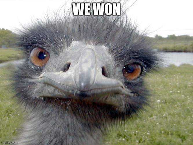 Emu Head Brah Whats Up | WE WON | image tagged in emu head brah whats up | made w/ Imgflip meme maker