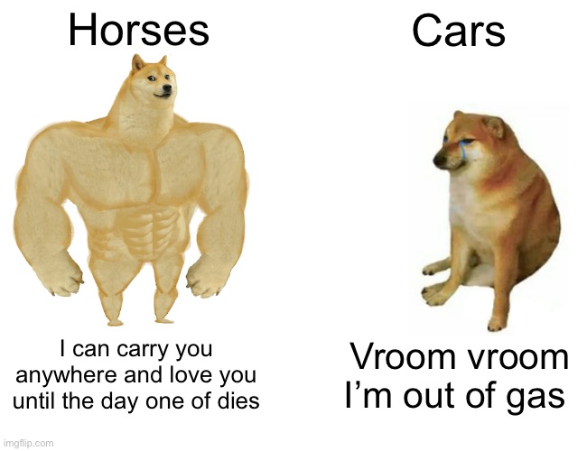 Buff Doge vs. Cheems Meme | Horses Cars I can carry you anywhere and love you until the day one of dies Vroom vroom I’m out of gas | image tagged in memes,buff doge vs cheems | made w/ Imgflip meme maker