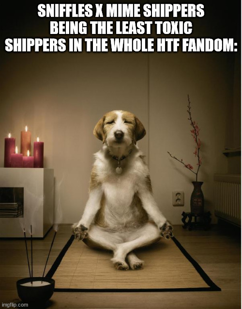 3 | SNIFFLES X MIME SHIPPERS BEING THE LEAST TOXIC SHIPPERS IN THE WHOLE HTF FANDOM: | image tagged in dog meditation funny | made w/ Imgflip meme maker