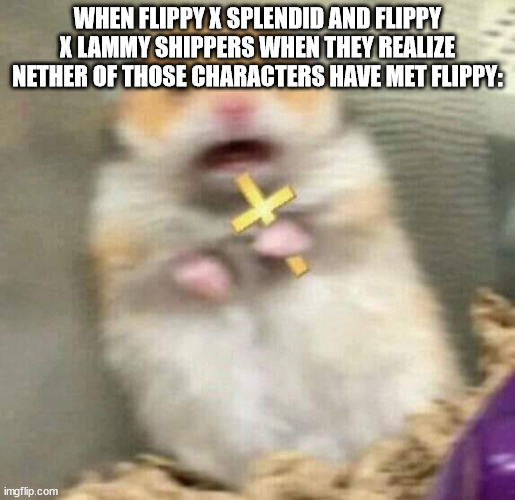 4 | WHEN FLIPPY X SPLENDID AND FLIPPY X LAMMY SHIPPERS WHEN THEY REALIZE NETHER OF THOSE CHARACTERS HAVE MET FLIPPY: | image tagged in scared hamster with cross | made w/ Imgflip meme maker