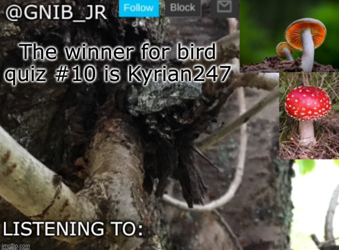 good job | The winner for bird quiz #10 is Kyrian247 | image tagged in gnib_jr's new temp | made w/ Imgflip meme maker