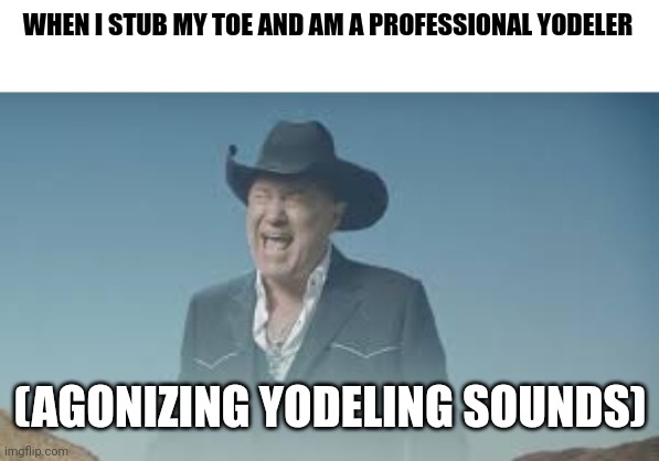 Agonized yodeling | WHEN I STUB MY TOE AND AM A PROFESSIONAL YODELER; (AGONIZING YODELING SOUNDS) | image tagged in aaaaaaaaaaaaaaaaaaaaaaaaaaa | made w/ Imgflip meme maker