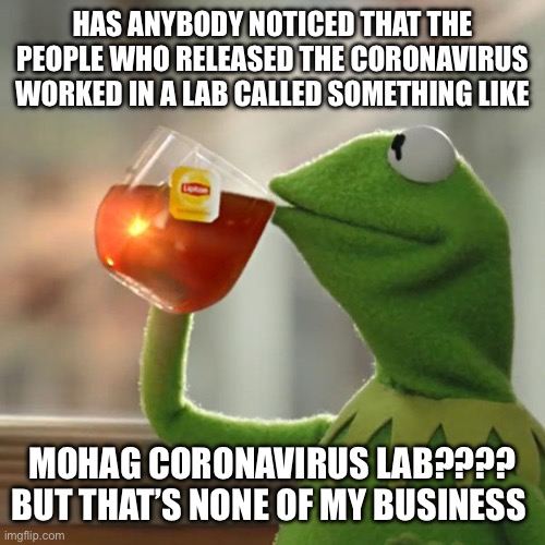 But That's None Of My Business Meme | HAS ANYBODY NOTICED THAT THE PEOPLE WHO RELEASED THE CORONAVIRUS WORKED IN A LAB CALLED SOMETHING LIKE; MOHAG CORONAVIRUS LAB???? BUT THAT’S NONE OF MY BUSINESS | image tagged in memes,but that's none of my business,kermit the frog | made w/ Imgflip meme maker