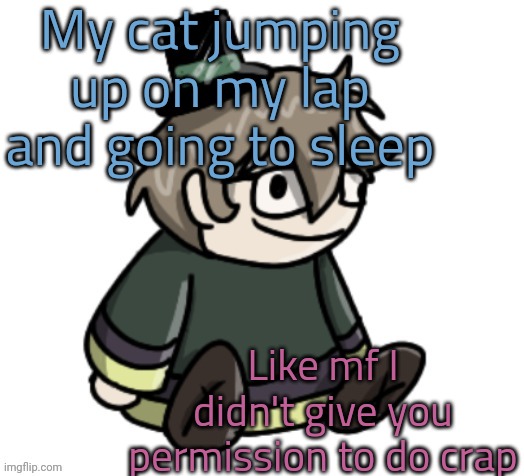 Wahhhh | My cat jumping up on my lap and going to sleep; Like mf I didn't give you permission to do crap | image tagged in cracker | made w/ Imgflip meme maker