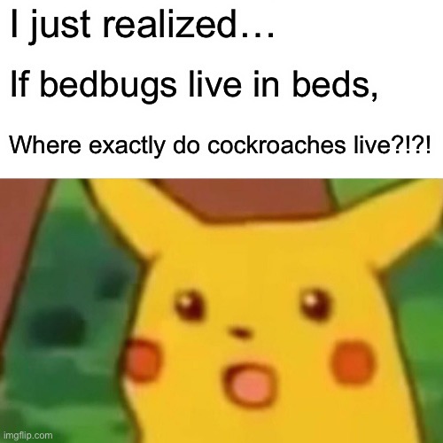 I just made this off a meme I found online, sorry if it breaks rules. | I just realized…; If bedbugs live in beds, Where exactly do cockroaches live?!?! | image tagged in memes,surprised pikachu | made w/ Imgflip meme maker