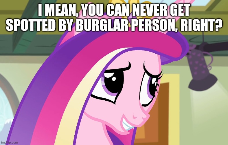 I MEAN, YOU CAN NEVER GET SPOTTED BY BURGLAR PERSON, RIGHT? | made w/ Imgflip meme maker