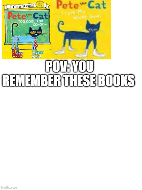 does anyone remember these books and the others? | POV: YOU REMEMBER THESE BOOKS | image tagged in books,memes,meme,cat,look at me,have a nice day | made w/ Imgflip meme maker