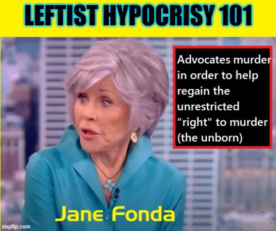 Hell-noi Jane | LEFTIST HYPOCRISY 101 | image tagged in mxm,funny,truth | made w/ Imgflip meme maker
