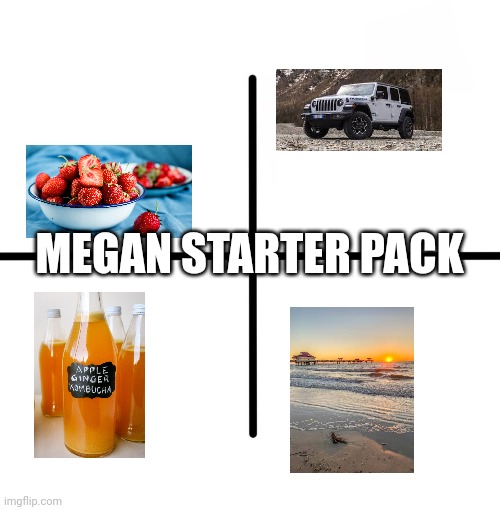 Blank Starter Pack | MEGAN STARTER PACK | image tagged in memes,blank starter pack | made w/ Imgflip meme maker