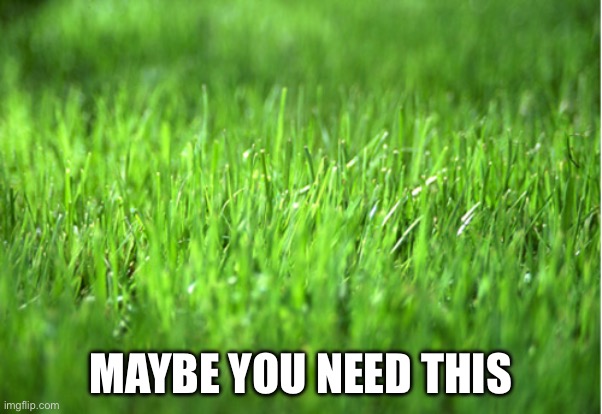 grass is greener | MAYBE YOU NEED THIS | image tagged in grass is greener | made w/ Imgflip meme maker