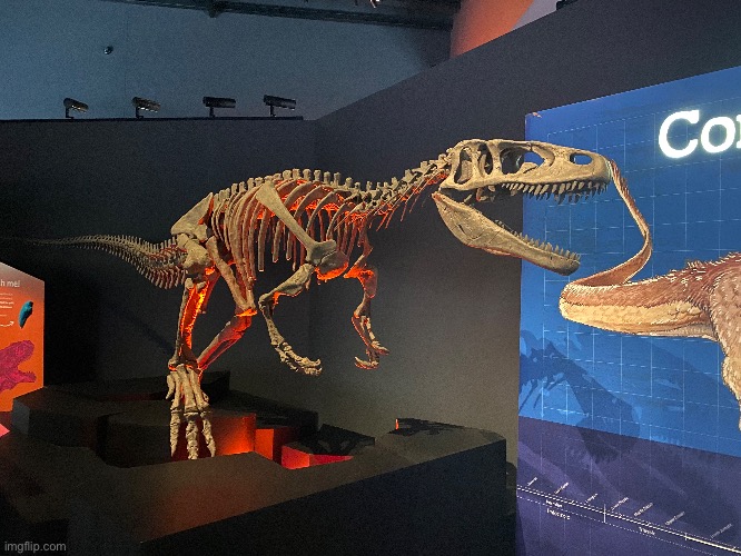 A Condoraptor skeleton at the WA museum! | made w/ Imgflip meme maker