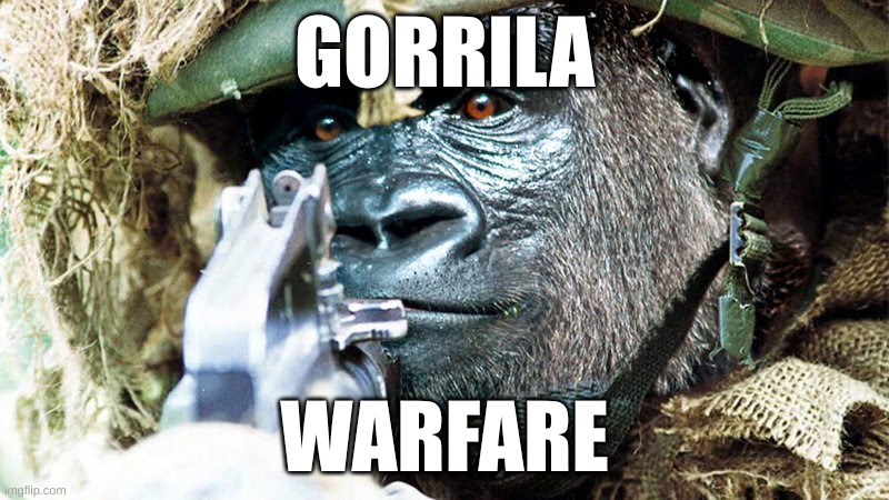 Gorrila warfare | GORRILA; WARFARE | image tagged in fun | made w/ Imgflip meme maker