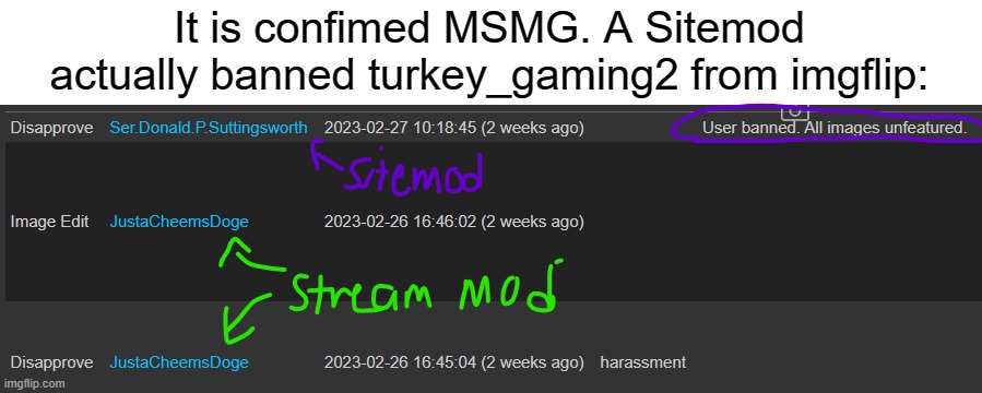 I thought he deleted his account, But no, Sitemods actually banned him. | It is confimed MSMG. A Sitemod actually banned turkey_gaming2 from imgflip: | image tagged in imgflip | made w/ Imgflip meme maker