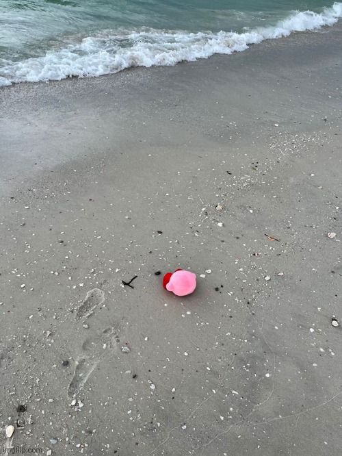 He forgot the land | made w/ Imgflip meme maker