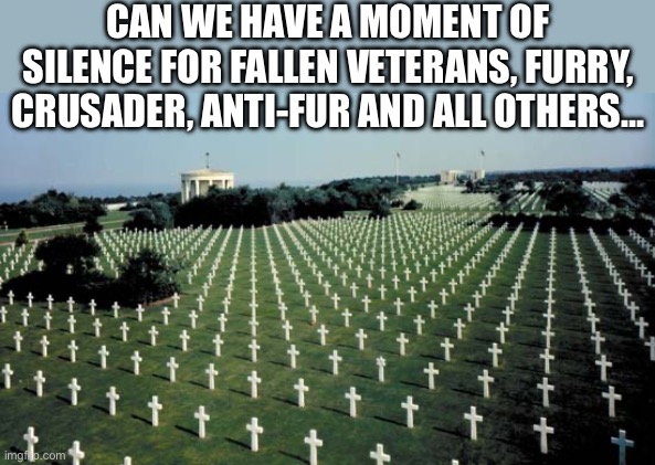 May all our veterans rest easy, knowing they did not die in vain… | CAN WE HAVE A MOMENT OF SILENCE FOR FALLEN VETERANS, FURRY, CRUSADER, ANTI-FUR AND ALL OTHERS… | image tagged in american graveyards in normandy,rest in peace | made w/ Imgflip meme maker