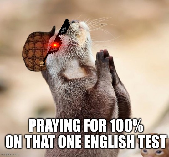 animal praying | PRAYING FOR 100% ON THAT ONE ENGLISH TEST | image tagged in animal praying | made w/ Imgflip meme maker