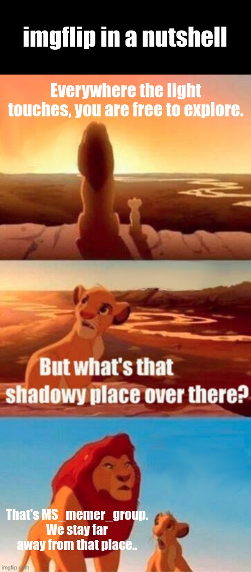 Simba Shadowy Place Meme | imgflip in a nutshell; Everywhere the light touches, you are free to explore. That's MS_memer_group. We stay far away from that place.. | image tagged in memes,simba shadowy place | made w/ Imgflip meme maker