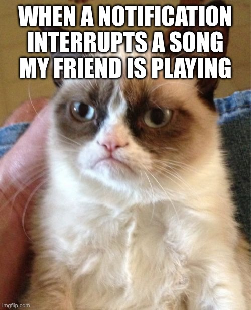 Grumpy Cat | WHEN A NOTIFICATION INTERRUPTS A SONG MY FRIEND IS PLAYING | image tagged in memes,grumpy cat | made w/ Imgflip meme maker