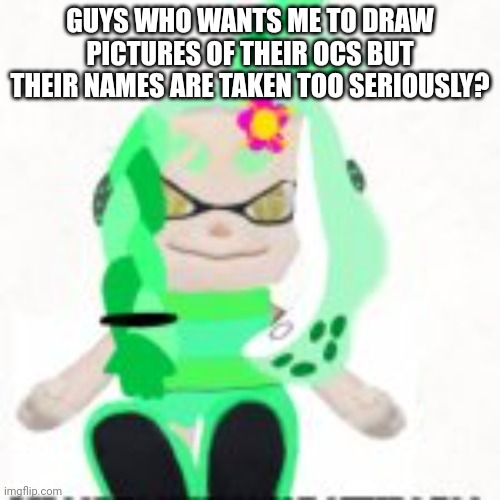Who want le draw | GUYS WHO WANTS ME TO DRAW PICTURES OF THEIR OCS BUT THEIR NAMES ARE TAKEN TOO SERIOUSLY? | image tagged in low quality image of a mint houzuki plush | made w/ Imgflip meme maker