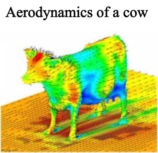 Aerodynamics of a cow | Aerodynamics of a cow | image tagged in aerodynamics of a cow | made w/ Imgflip meme maker