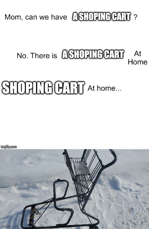 A SHOPING CART; A SHOPING CART; SHOPING CART | image tagged in mom can we have,shopping cart,you had one job,memes,funny | made w/ Imgflip meme maker