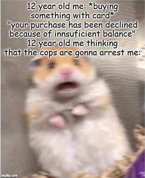 anyone else do this? | 12 year old me: *buying something with card*
"your purchase has been declined because of innsuficient balance"
12 year old me thinking that the cops are gonna arrest me: | image tagged in scared hamster,cops | made w/ Imgflip meme maker