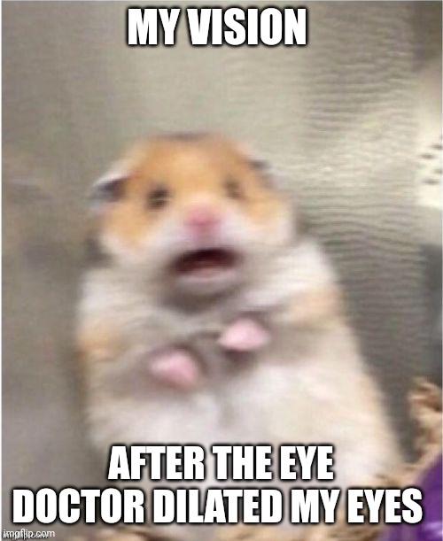 Those eye drops made my vision blurry | MY VISION; AFTER THE EYE DOCTOR DILATED MY EYES | image tagged in scared hamster | made w/ Imgflip meme maker