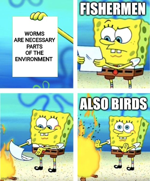No more worms | FISHERMEN; WORMS ARE NECESSARY PARTS OF THE ENVIRONMENT; ALSO BIRDS | image tagged in spongebob burning paper | made w/ Imgflip meme maker