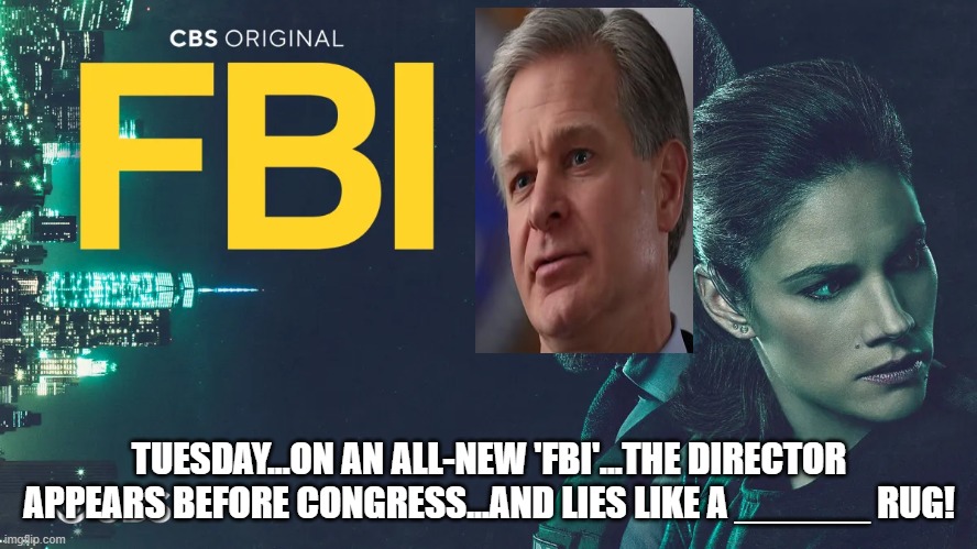 TUESDAY...ON AN ALL-NEW 'FBI'...THE DIRECTOR APPEARS BEFORE CONGRESS...AND LIES LIKE A ______ RUG! | image tagged in memes | made w/ Imgflip meme maker