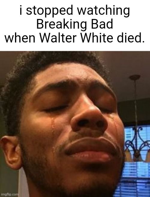 no way... | i stopped watching Breaking Bad when Walter White died. | image tagged in no way | made w/ Imgflip meme maker